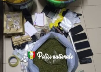 Trafic de stupéfiants à Dakar : l’OCRTIS saisit plus de 2,5 kg de kush, 2 individus arrêtés