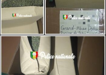 Saisie exceptionnelle de 17 kg de kush à Dakar : la police traque un réseau de trafic international