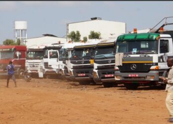 Mbao : démantèlement du réseau de kush dirigé par une commerçante au « garage malien »