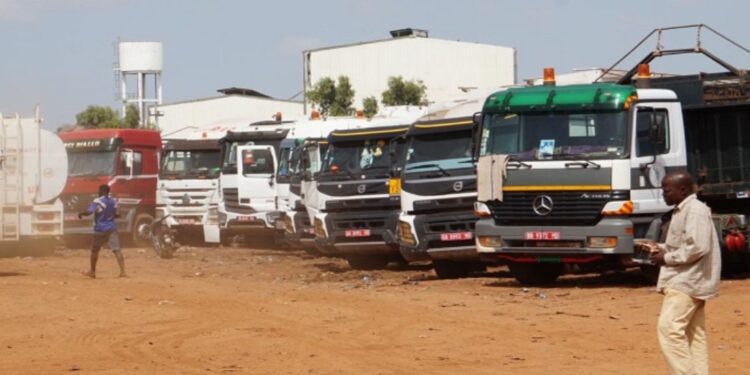Mbao : démantèlement du réseau de kush dirigé par une commerçante au « garage malien »