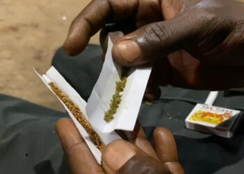 Dakar : 19,5 kg de kush saisis, laboratoire clandestin démantelé, un Guinéen arrêté