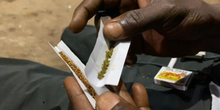 Dakar : 19,5 kg de kush saisis, laboratoire clandestin démantelé, un Guinéen arrêté