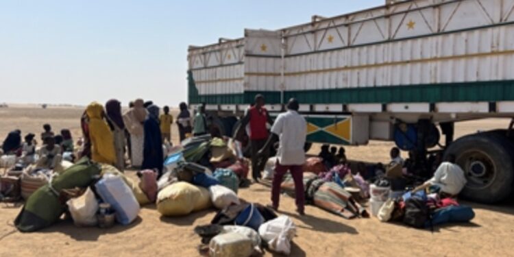 Soudan: la première équipe de l&rsquo;ONU à El-Facher évoque des survivants traumatisés et des « conditions indignes »