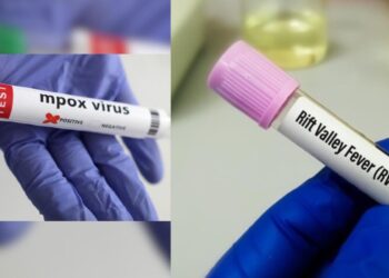 Sénégal : extinction des foyers de fièvre de la Vallée du Rift dans le nord