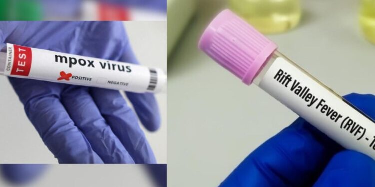 Sénégal : extinction des foyers de fièvre de la Vallée du Rift dans le nord