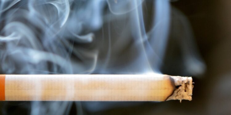 Sénégal : la consommation de tabac chute de plus de 25 %, seuls 4,4 % des adultes fument (GATS 2025)