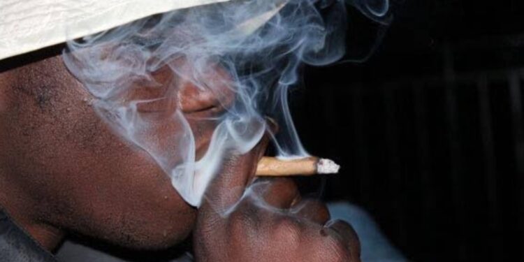 De la fête à la mort : une nuit de drogue fatale à Liberté 5, sept personnes arrêtées