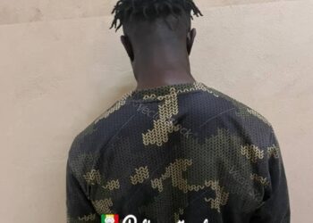 Yeumbeul Sud : un lutteur arrêté pour agression sexuelle répétée