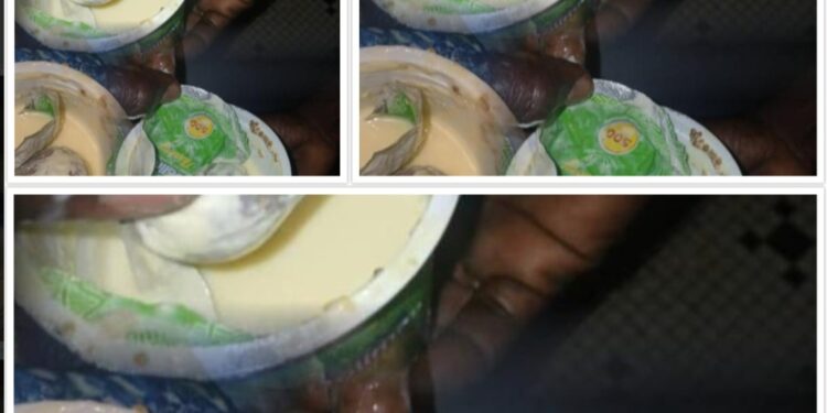 Chanvre indien dissimulé dans un pot de yaourt : un trafic de drogue découvert à la prison de Ziguinchor