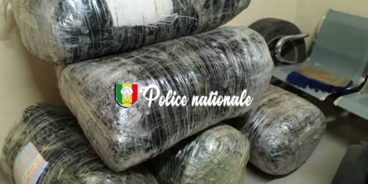 Saisie massive de drogue : l’OCRTIS intercepte 196 kg de chanvre indien à Mbodiène