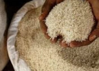 Baisse du prix du riz brisé à Dakar : le kilogramme fixé à 300 FCFA