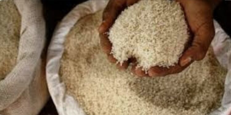 Baisse du prix du riz brisé à Dakar : le kilogramme fixé à 300 FCFA