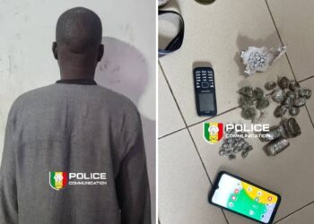 Trafic de drogue : l’OCRTIS démantèle un réseau international opérant entre Paris et Dakar