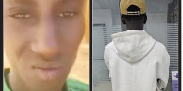 TikTok et harcèlement : un influenceur de 21 ans arrêté pour des faits visant des mineures