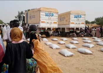 Crise alimentaire en Afrique de l’Ouest et du Centre : 55 millions de personnes menacées en 2026