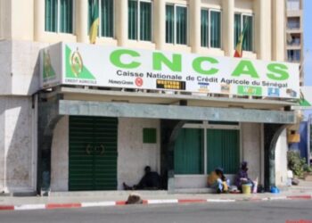 Prêt de l’État détourné : une nébuleuse financière éclaboussée par l’affaire de l’ex-CNCAS