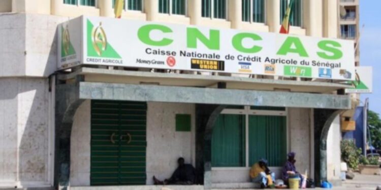 Prêt de l’État détourné : une nébuleuse financière éclaboussée par l’affaire de l’ex-CNCAS