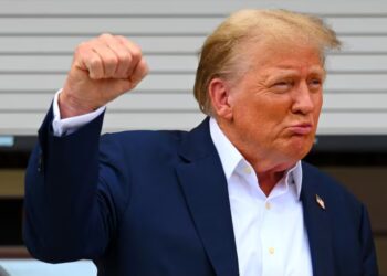 Donald Trump propose un « Conseil de paix » concurrent de l&rsquo;ONU, totalement à sa main