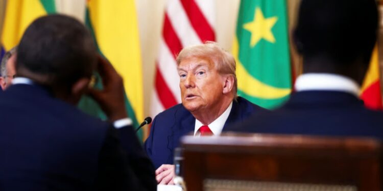 Un an après, l’Afrique reléguée au second plan du deuxième mandat de Trump