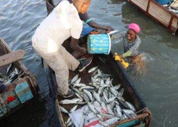 Pétrole et gaz offshore : le contraste frappant entre cadre légal et réalités des communautés côtières