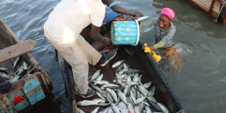 Pétrole et gaz offshore : le contraste frappant entre cadre légal et réalités des communautés côtières