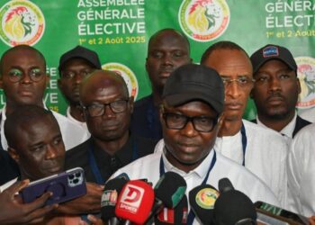 136 millions de primes officielles et avantages : la bonne moisson des Lions champions d’Afrique