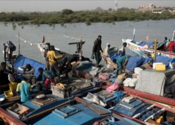 Guinée-Bissau : dix pirogues de pêche sénégalaises arraisonnées à Cacheu pour pêche présumée sans licence
