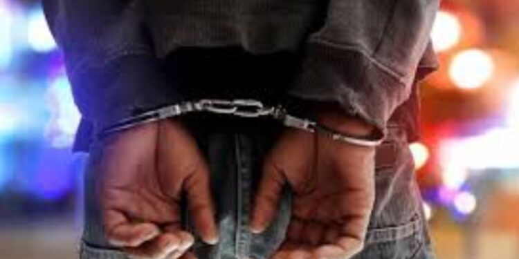 Produits naturels : le réseau « Lamine Lankon » au cœur d’une vaste escroquerie