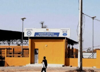 Affaire du marché aux poissons de Thiès : Dr Babacar Diop brise le silence après le clash