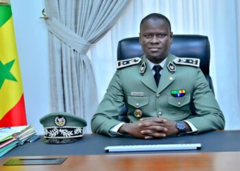 2025, année noire pour les trafiquants : la Douane sénégalaise frappe un grand coup avec des saisies historiques