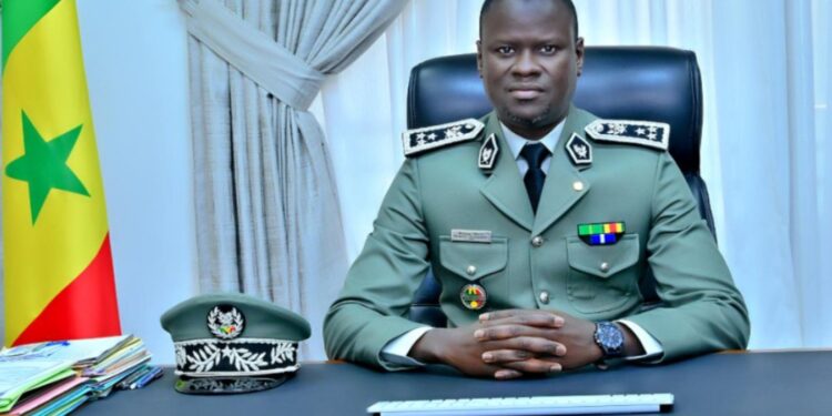 2025, année noire pour les trafiquants : la Douane sénégalaise frappe un grand coup avec des saisies historiques