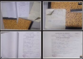 Trafic de papiers sénégalais : la DNLT met à jour un réseau tentaculaire