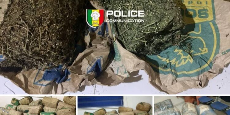 Mbour : saisie record de 120 kg de drogue sur la petite côte