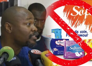 Affaire SOFTCARE : Guy Marius Sagna et FRAPP déballent tout et cognent sur l’ARP !