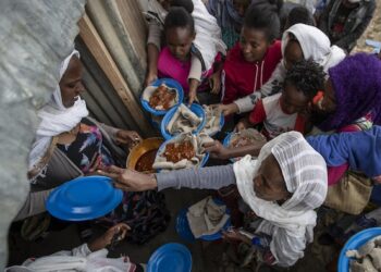 Afrique de l’Ouest et Sahel : »Près de 53 millions de personnes menacées de famine » (FAO)