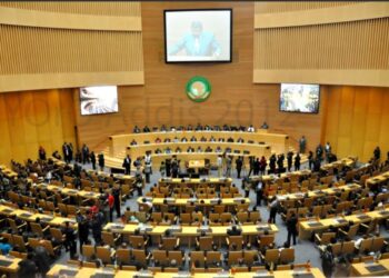 CPS de l’UA : L’Égypte aux commandes