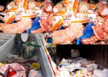 Coup de filet spectaculaire : la Douane intercepte 28 tonnes de cuisses de poulet en haute mer