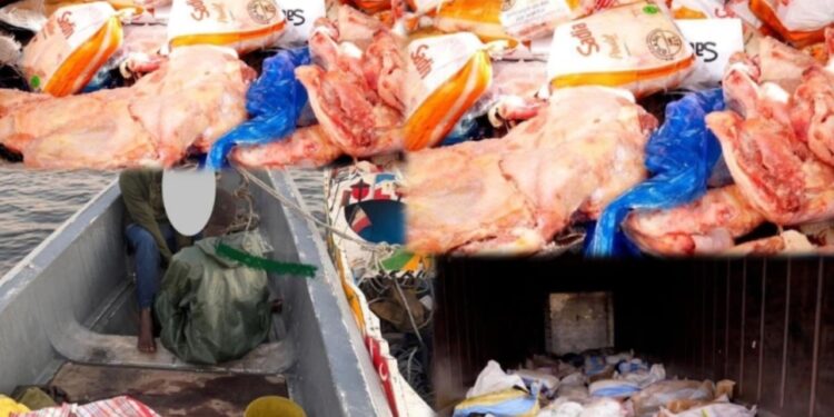 Coup de filet spectaculaire : la Douane intercepte 28 tonnes de cuisses de poulet en haute mer