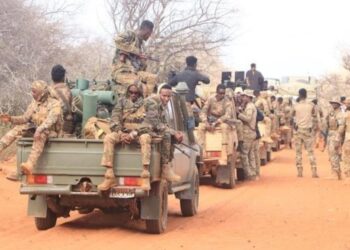 Somalie : 13 combattants shebab neutralisés lors d’une opération militaire