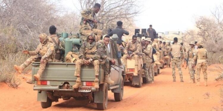 Somalie : 13 combattants shebab neutralisés lors d’une opération militaire