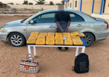 Sénégal : la gendarmerie interpelle un individu avec 2,4 millions de FCFA en faux billets