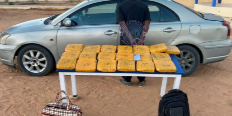 Sénégal : la gendarmerie interpelle un individu avec 2,4 millions de FCFA en faux billets