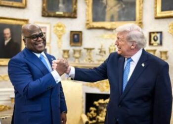 Minerais critiques : les États-Unis courtisent l’Afrique afin de réduire leur dépendance vis-à-vis de la Chine