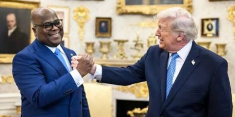 Minerais critiques : les États-Unis courtisent l’Afrique afin de réduire leur dépendance vis-à-vis de la Chine