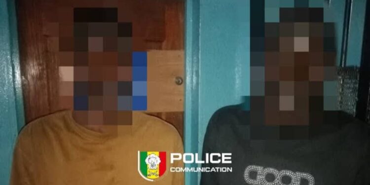 Tentative de braquage : deux individus surpris en pleine action