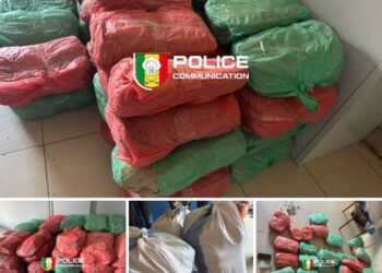 Keur Massar : 56 kg de chanvre indien saisis après une course-poursuite avec un dealer récidiviste