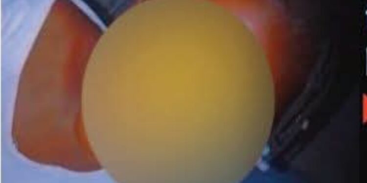 Kanda Fodé Bayo (Kahone) : une fillette de 5 ans enlevée et tuée, le suspect arrêté à Nioro