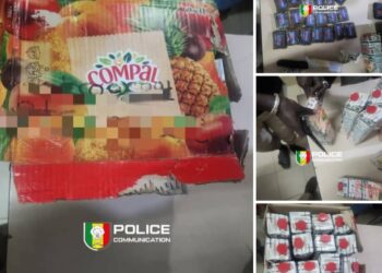 Pikine : la BRS de Dakar démantèle un réseau international de trafic de hachich, 2,55 kg saisis