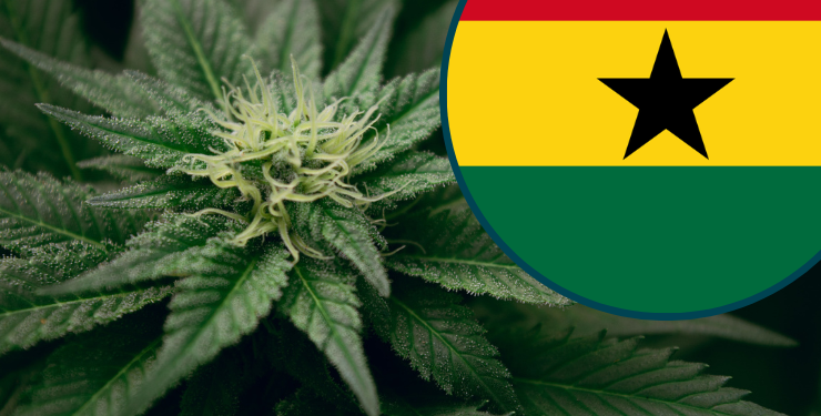 Le Ghana tente de lancer sa filière locale de cannabis thérapeutique