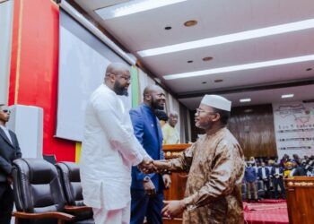 Guinée : le CNT examine les lois du programme Simandou 2040